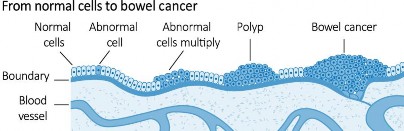 Diagram Description automatically generated